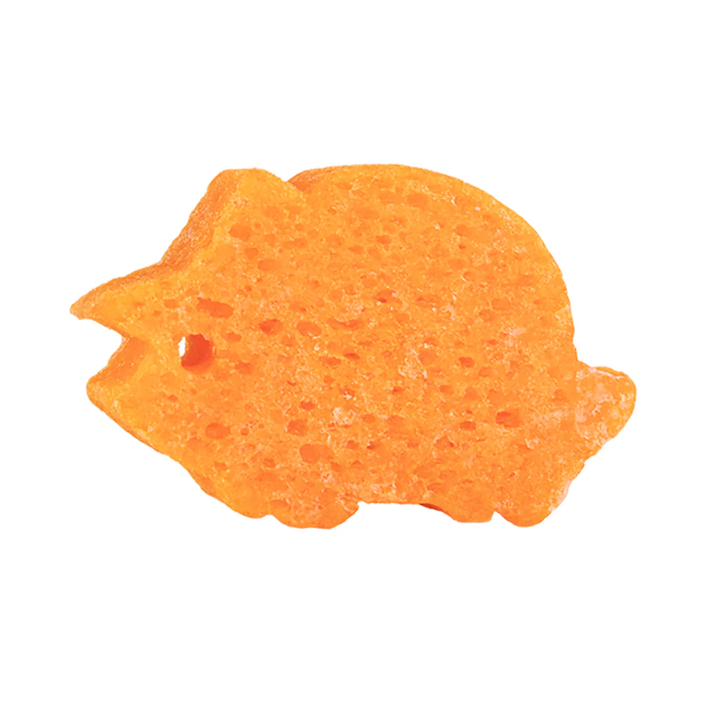 Tina Triceratops | Spongeasaurus Dinosaur Buffer - Image 5