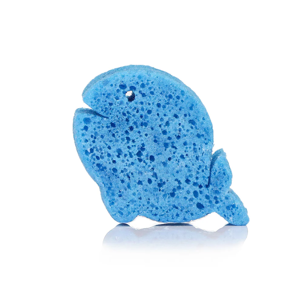 Walter Whale | Sea Animals - Image 5